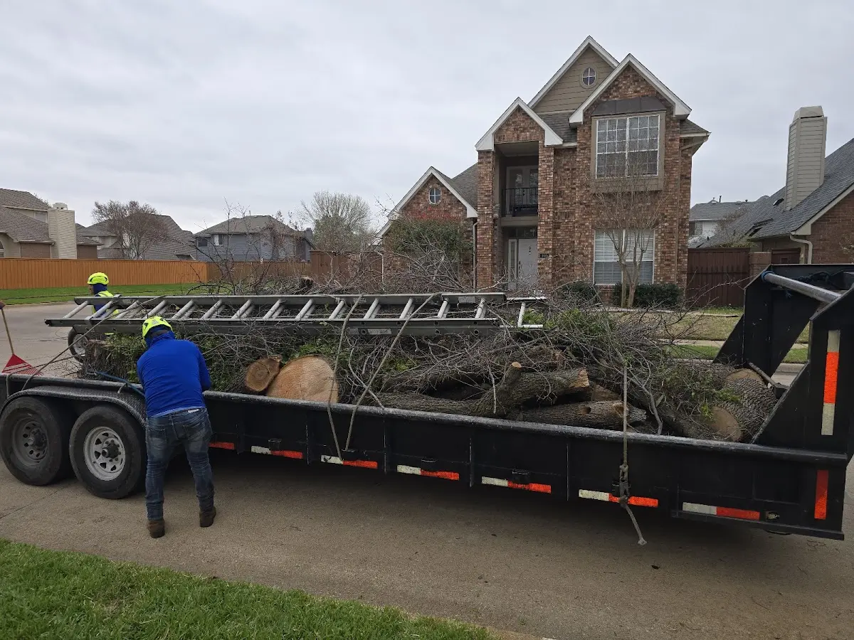 Expert Lot Clearing with proper safety equipment in Cloverdale